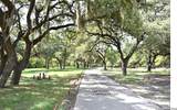 799 Mockingbird Cove - Photo 44