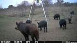 8251 County Road 106 - Photo 10