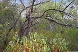 8251 County Road 106 - Photo 11