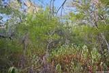 8251 County Road 106 - Photo 19