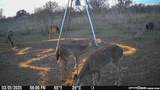 8251 County Road 106 - Photo 5
