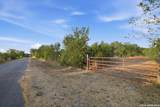 8251 County Road 106 - Photo 6