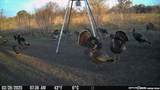 8251 County Road 106 - Photo 8