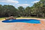 975 Wilderness Oaks - Photo 5