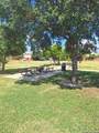 10643 Arabian Sands - Photo 24