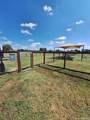 10643 Arabian Sands - Photo 25