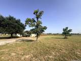 116 Palomino Trail - Photo 25