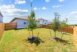 1675 House Finch Drive - Photo 32