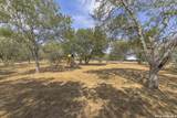 341 Oriente Dr - Photo 38