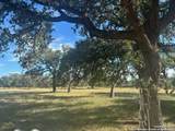 373 Pine Tree Rd - Photo 19