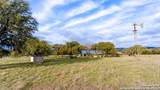 373 Pine Tree Rd - Photo 22
