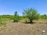 4703 Scenic Lake Dr - Photo 29