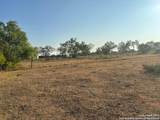 00000 Adkins-St. Hedwig Road - Photo 10