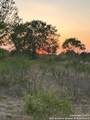 00000 Adkins-St. Hedwig Road - Photo 17