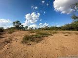 00000 Adkins-St. Hedwig Road - Photo 20
