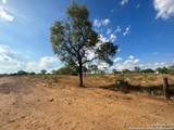 00000 Adkins-St. Hedwig Road - Photo 21