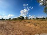 00000 Adkins-St. Hedwig Road - Photo 22