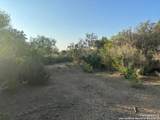00000 Adkins-St. Hedwig Road - Photo 6