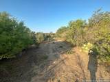 00000 Adkins-St. Hedwig Road - Photo 7