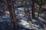 837 Crystal Peak - Photo 14