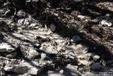 837 Crystal Peak - Photo 21
