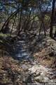 837 Crystal Peak - Photo 22