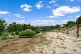 260 County Road 367 - Photo 4