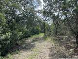 19031 Bandera Rd - Photo 4