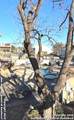 730 Mather - Photo 25