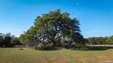 2444 Purgatory - Photo 25
