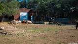 2444 Purgatory - Photo 29