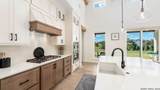 729 Fossil Springs - Photo 9