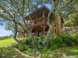 27728 Ramblewood Street - Photo 5