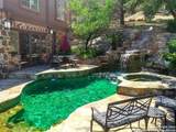 27728 Ramblewood Street - Photo 6