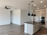 151 Desert Cactus - Photo 14