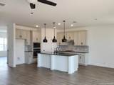 151 Desert Cactus - Photo 19