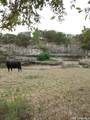 929 Red Bluff Ranch - Photo 2