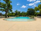 3254 Blenheim Park - Photo 42