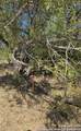 0 County Road 664 - Photo 7