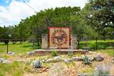 217 Wild Horse - Photo 58