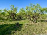 4703 Scenic Lake Dr - Photo 17