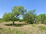 4703 Scenic Lake Dr - Photo 2