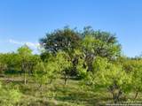 4703 Scenic Lake Dr - Photo 21