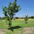 1107 Semlinger Rd - Photo 24