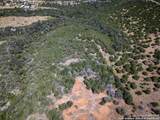 LOT 11 Wainright Springs - Photo 44