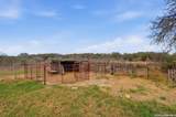 370 Alberts Ln - Photo 63