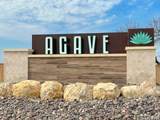 5026 Agave Blue Lane - Photo 26