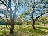 5244 Business 181 N - Photo 83