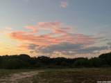 370 Alberts Ln - Photo 47