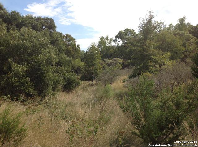 126 Dripping Springs Rd N - Photo 1